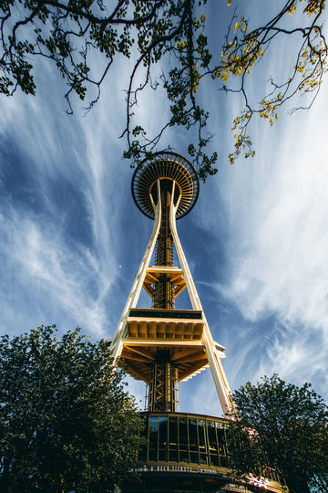 SPRING SPACE NEEDLE